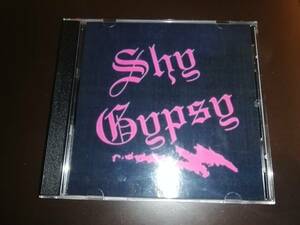 【激レアデモ音源】SHY GYPSY / DEMOS　DANGER DANGERの1ST、2NDのような爽やかメロハー　楽曲粒ぞろい　試聴サンプルあり