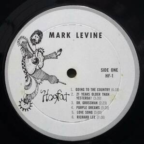 USオリジナルLP★MARK LEVINE/PILGRIM'S PROGRESS：1968年 LAスワンプ前夜・LAポップ・SSW 隠れ名盤★Ry cooder/Mike Deasy 参加 ★の画像10