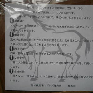 ◆◆笠松競馬場◆◆ 実使用蹄鉄加工の縁起物の飾り物 笠松競馬場場内売店（閉店）販売品 おまけ付 未開封・新品 安価スタートの画像7