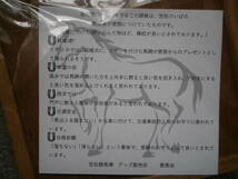 ◆◆笠松競馬場◆◆　実使用蹄鉄加工の縁起物の飾り物　笠松競馬場場内売店（閉店）販売品　おまけ付　未開封・新品　安価スタート_画像7