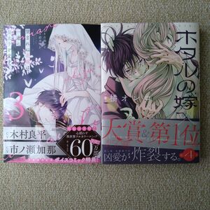 望まれぬ花嫁は一途に皇太子を愛す 3巻　ホタルの嫁入り 4巻