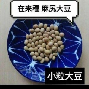 【貴重】宮崎県 麻地尻大豆 あさじり大豆 45粒 固定種 国産 豆 豆類 国産 国内産 乾燥豆 豆類　納豆向き　小粒　在来種