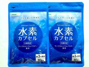 ◆送料無料◆水素カプセル 約6ヶ月分(2026.8.31~) シードコムス サプリメント
