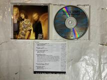 CD 国内盤 帯付 アル・ヤンコビック WEIRD AL YANKOVIC スメルズ・ライク・ニルヴァーナ SMELLS LIKE NIRVANA OFF THE DEEP END PCCY00359_画像3