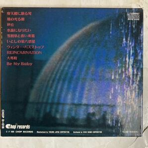 CD あがた森魚 プラネッツ・アーベント PLANETS ABEND CHOP D-018の画像2