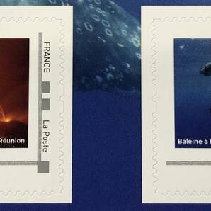 フランス 2023年発行 クジラ カメ P stamp 切手 未使用 NHの画像5