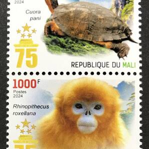 マリ 2024年発行 カメ 動物 小型 切手 未使用 NHの画像1
