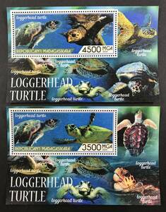 madaga Skull 2024 year issue turtle stamp small size seat (2) unused NH