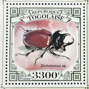 トーゴ 2021年発行 昆虫 切手 小型シート 未使用 NHの画像2