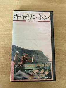 キャリントン/映画VHS・字幕・未DVD化作品