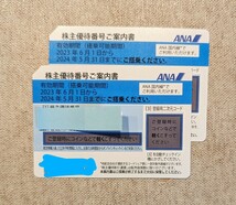 ANA 株主優待券 2枚セット+優待冊子_画像1