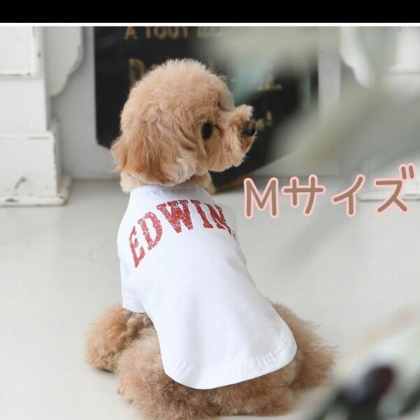 新品　EDWIN ドッグウェア　Mサイズ　Tシャツ　白T ペット 犬 犬服