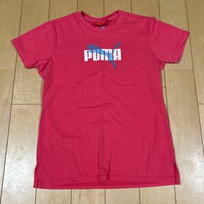 PUMA Tシャツ L