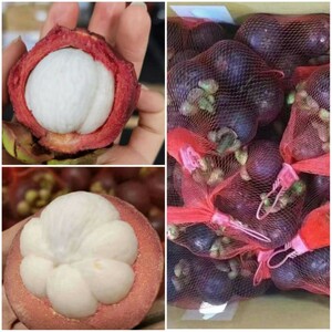 605. fresh mangosteen mountain bamboo beautiful. gem 2 pack entering approximately 1kg normal temperature shipping 
