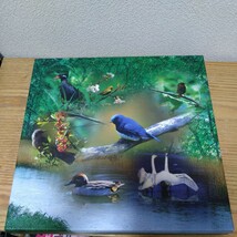 日本の野鳥 歌声 百選　CD 7枚　他 おまけ 2枚　美しい日本の野鳥を紹介した大きな 冊子 まとめて_画像10