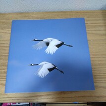 日本の野鳥 歌声 百選　CD 7枚　他 おまけ 2枚　美しい日本の野鳥を紹介した大きな 冊子 まとめて_画像6