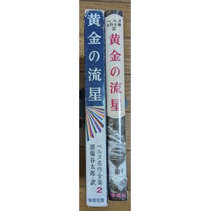 ベルヌ名作全集のキキメ この児童書でしか読めない  黄金の流星 ジュール・ヴェルヌ ジュール・ベルヌ ＳＦの画像3