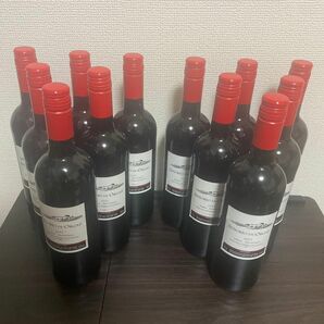 ワインセット　赤ワイン12本セット ワイン 赤ワイン 果実酒
