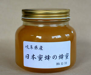 【送料無料】 日本蜜蜂の蜂蜜 純粋はちみつ 岐阜県産 700g