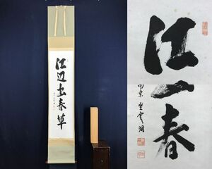 真作/大徳寺派/南宗寺坐雲洞/佐藤一耕/一行書/江辺出春草/茶道具/茶掛/禅語/掛軸☆宝船☆AF-418