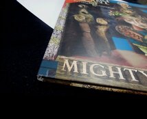 ●EU-Sanctuaryオリジナル””’05稀少アナログ!!”” Robert Plant And The Strange Sensation / Mighty Rearranger_画像4