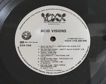 ■ACID VISIONS ■アシッドヴィジョンズ ■V.A. / The Best Of Texas Punk And Psychedelic / 1LP / 1983 Voxx Records / Shrink / Texas_画像5
