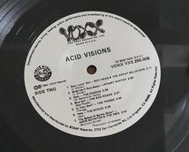 ■ACID VISIONS ■アシッドヴィジョンズ ■V.A. / The Best Of Texas Punk And Psychedelic / 1LP / 1983 Voxx Records / Shrink / Texas_画像7