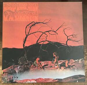 ■C.A.QUINTET ■C.A.クインテット ■Trip Thru Hell / 1LP / 1983 Psycho / Mega Rare Reissue / 1969 US Psychedelic Rock / Progressive