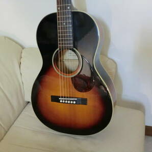 The LOAR LO-215-SNの画像3