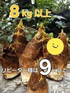 埼玉県産　無農薬　たけのこ　もうそう竹　8kg以上　筍　リピーター様9kg以上