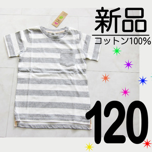 送料無料【新品タグ付】オーガニックコットン100% 綿100% ボーダー 半袖 Tシャツ グレー ホワイト 白 キッズ 120サイズ　　検≫ベキマT