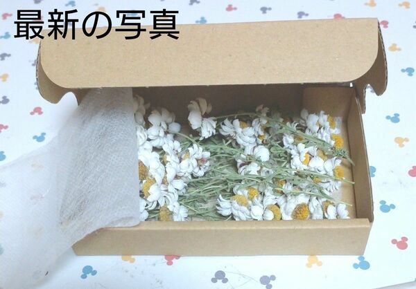 花かんざし ドライフラワー用→ドライフラワー 茎付き30本＋α→40本