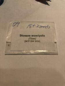 09【輸入種子】ハエトリグサ　タイタン　種子15粒　Dionaea muscipula Titan [BCP ID# S026] (15s)