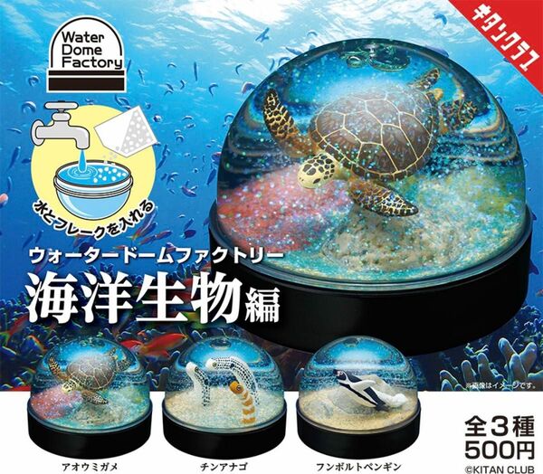 ウォータードームファクトリー 海洋生物編 全3種セット ガチャ 送料無料 匿名配送