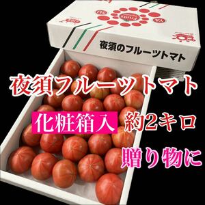 化粧箱入　高知県産　夜須のフルーツトマト約2キロ　20玉から30玉前後　送料無料