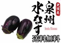 今が旬大阪特産　泉州水茄子　7個から12個入り　送料無料_画像3