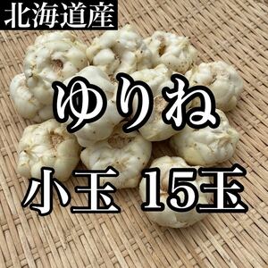 北海道産　ゆりね　15玉前後　箱込み約1キロ入り　送料無料