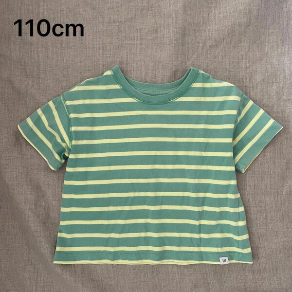 GAP 110cm ボーダー 半袖Tシャツ クロップド丈