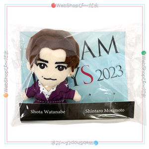 DREAM BOYS 2023 ぬいぐるみマスコット 渡辺翔太 Snow Man◆新品Ns