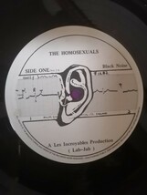 12 レア 70s UK New wave HOMOSEXUALS E.P Black Noise_画像3