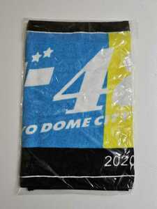 AKB48 フェイスタオル 2020 AKB48単独コンサート 未使用