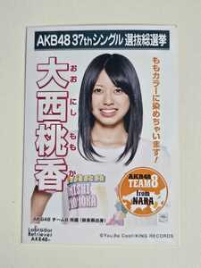 AKB48 チーム8 大西桃香 37thシングル選抜総選挙 生写真