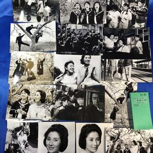 111枚希少資料 田中友幸制作映画 国際秘密警察指令第8号東宝 スパイ 林檎の花咲く町 夏木陽介 水野久美 白川由美スチール写真 昭和 当時物の画像5