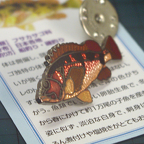 ◆ピンズ 磯釣魚 カサゴ(笠子) 七宝メタル 日本製の画像2