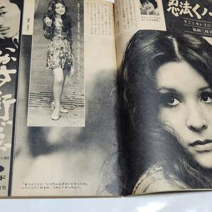 ６４ 昭和44年10月2日号 週刊平凡 小川ローザ 弘田三枝子 松原智恵子 渡哲也の画像3