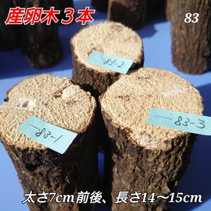 [ включая доставку ] производство яйцо дерево No.83...3шт.@ ho da дерево древесина хорошо качество материал . поэтому 