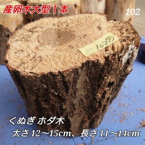 [ postage included ] production egg tree No.102... large 1 pcs ho da tree timber . therefore 