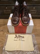 ALDEN オールデン 403 インディ ブーツ ブラウンレザー SIZE 7 1/2 レースアップシューズ_画像1