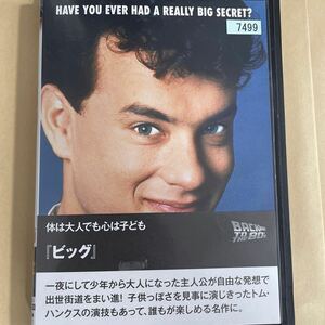 DVD ビッグ　トムハンクス　レンタルアップ　よ125