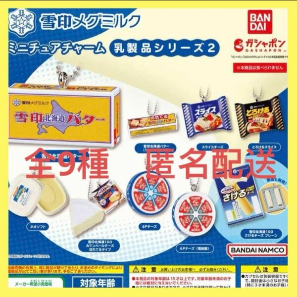 雪印メグミルク ミニチュアチャーム～乳製品シリーズ2～★全9種　新品